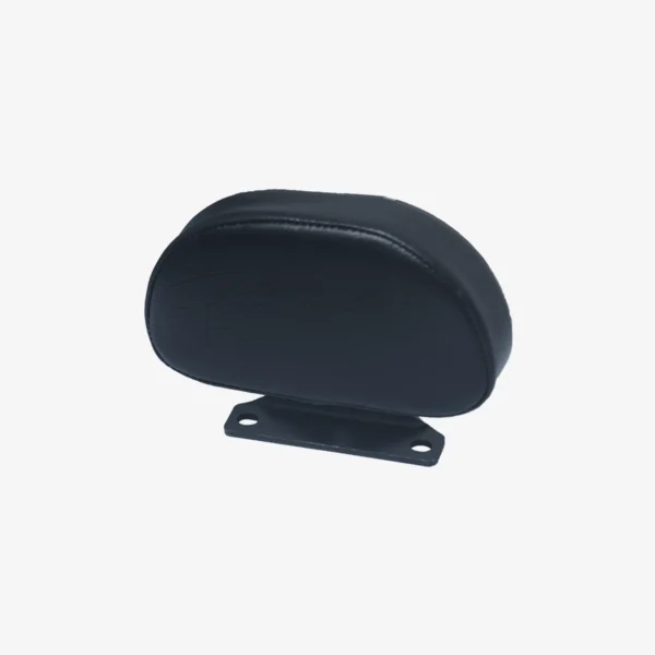 Royal Enfield Himalayan 450 Back Rest